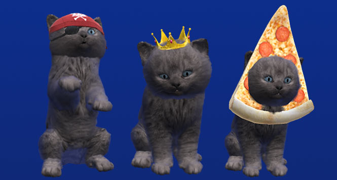 Mcvities cat best sale